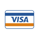 Online payment,Online transaction,Payment method,Visa